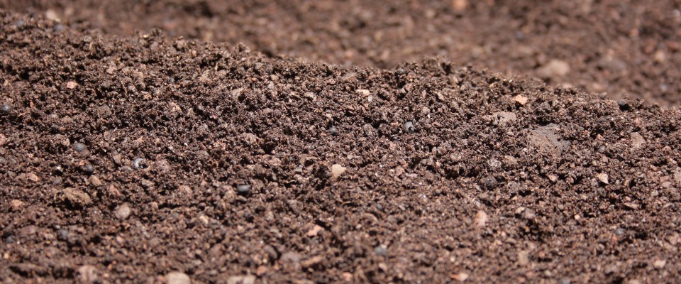 Soil for plants